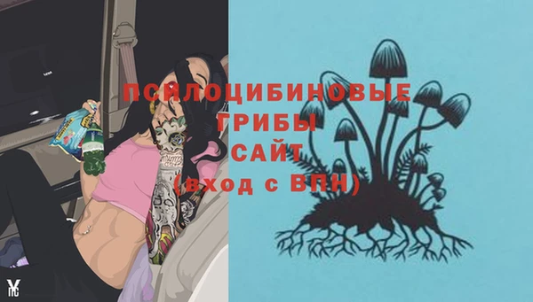 герыч Бронницы
