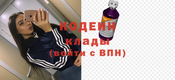 дмт Бородино