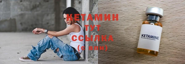 дмт Бородино