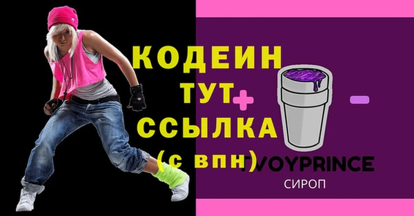дмт Бородино
