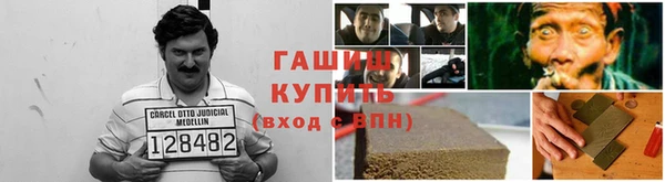 дмт Бородино