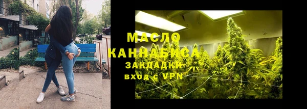 дмт Бородино