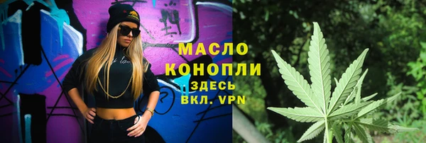дмт Бородино