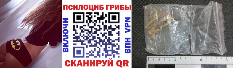 Псилоцибиновые грибы Psilocybe  Купить  Мариинск 